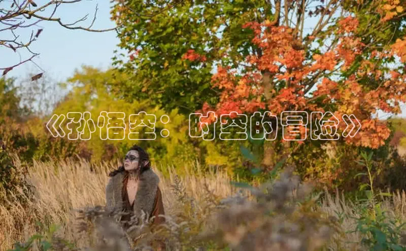 顺盈娱乐在线注册